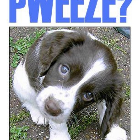 Meet your Posher, Shawn - Picture 5 of 5